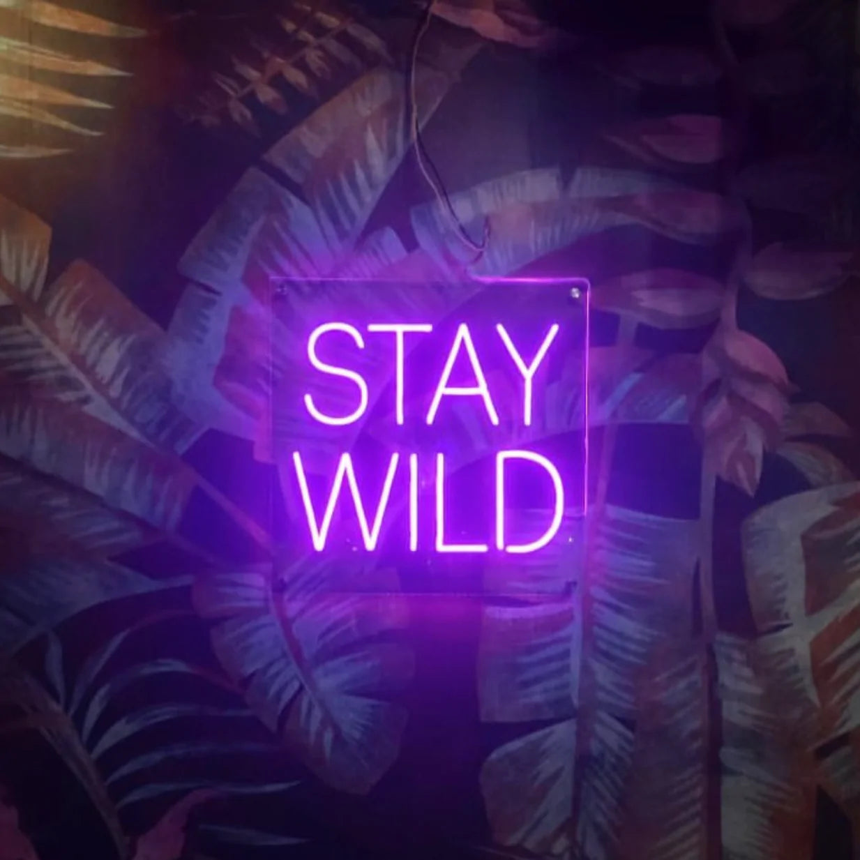 STAY WILD