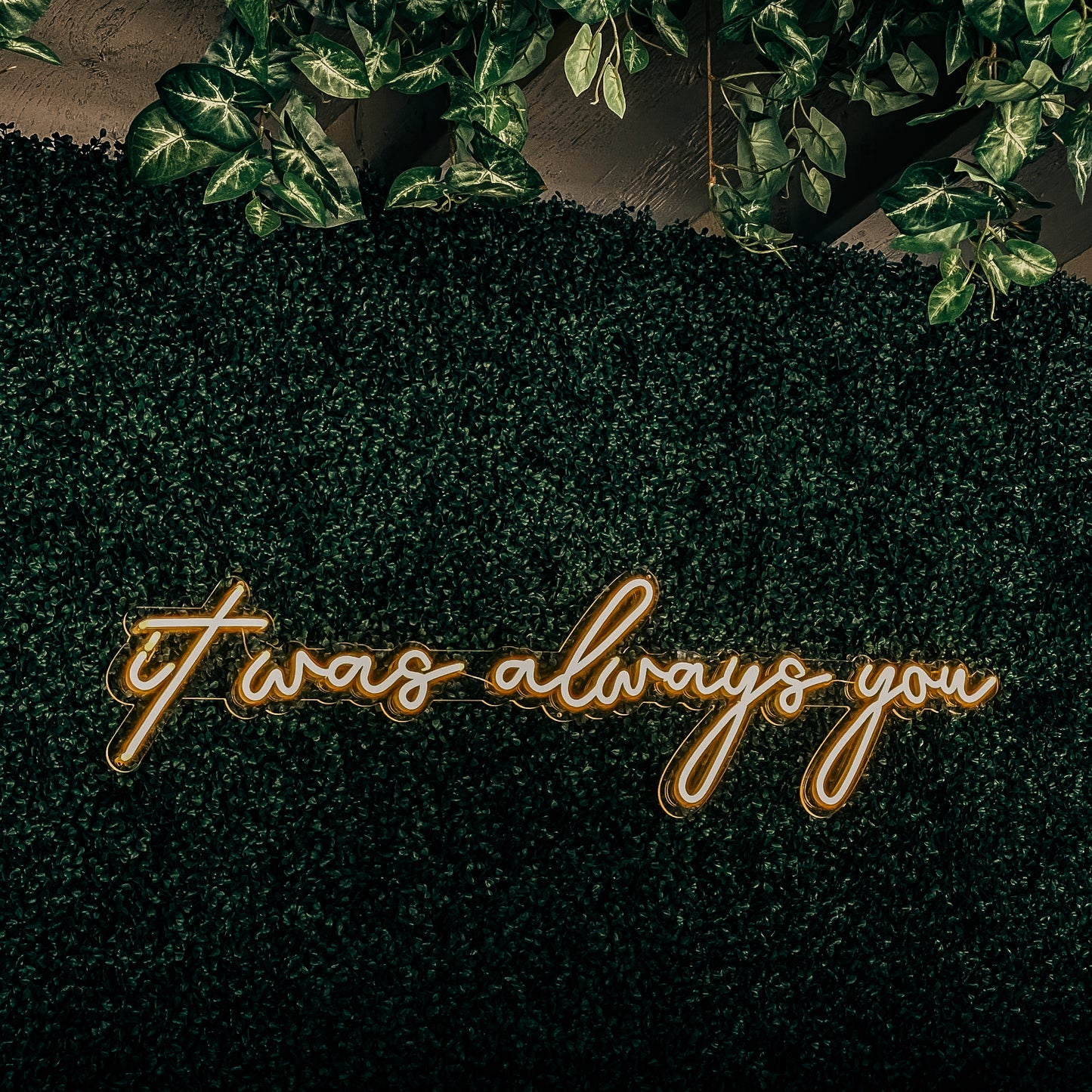 ALL NEON SIGN RENTALS