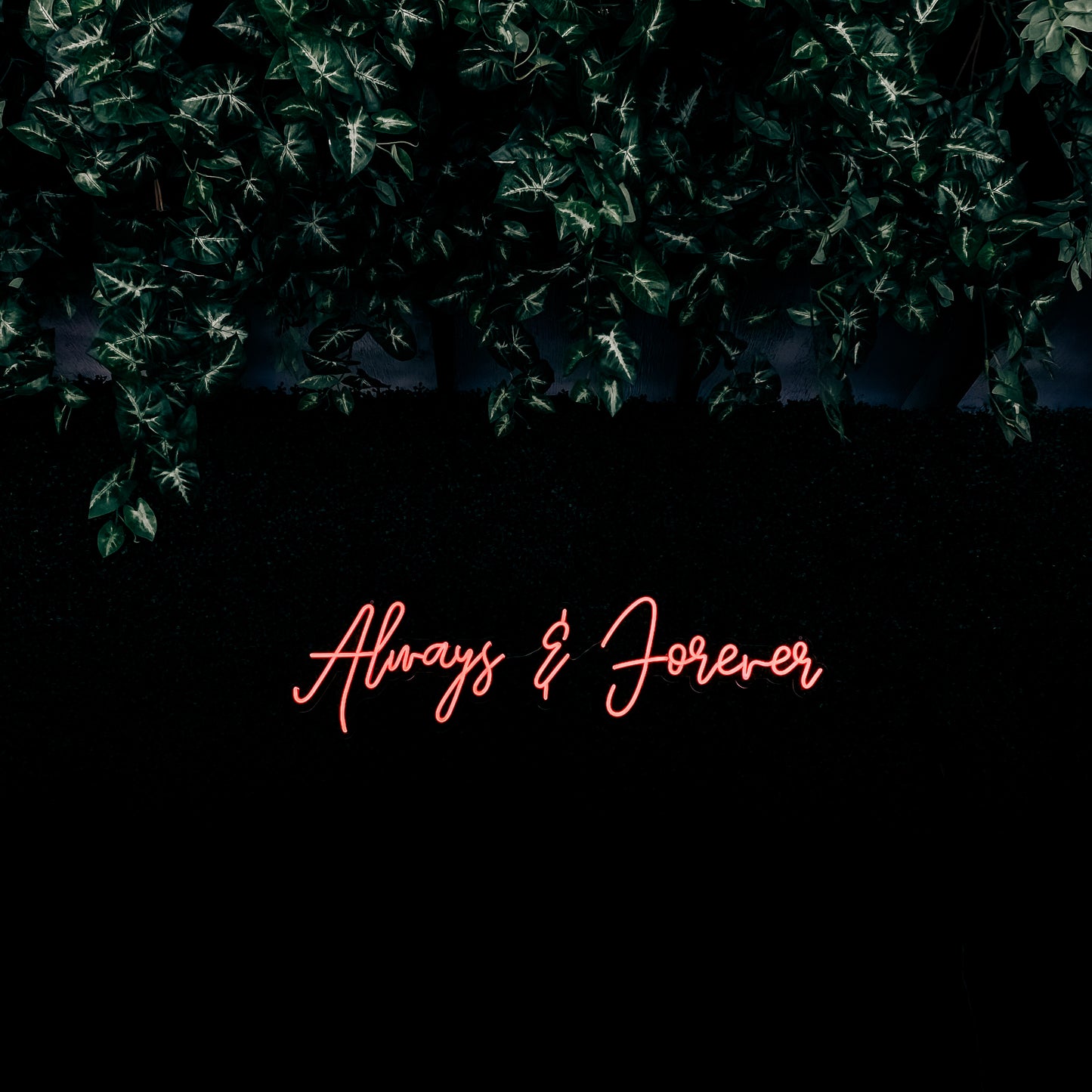 ALL NEON SIGN RENTALS