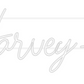 Your Custom Neon Sign The Harvey-Di...